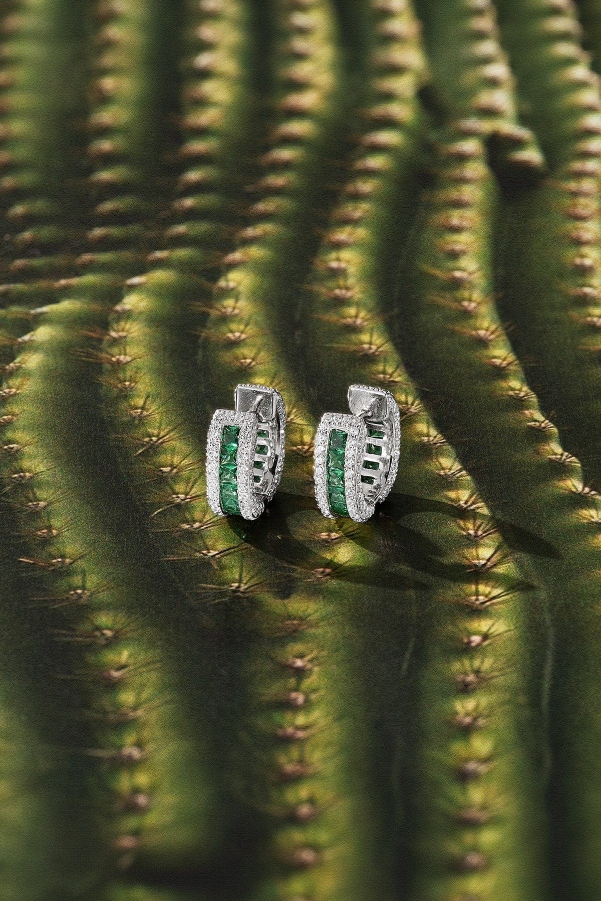 Pair of silver and green earrings on a cactus