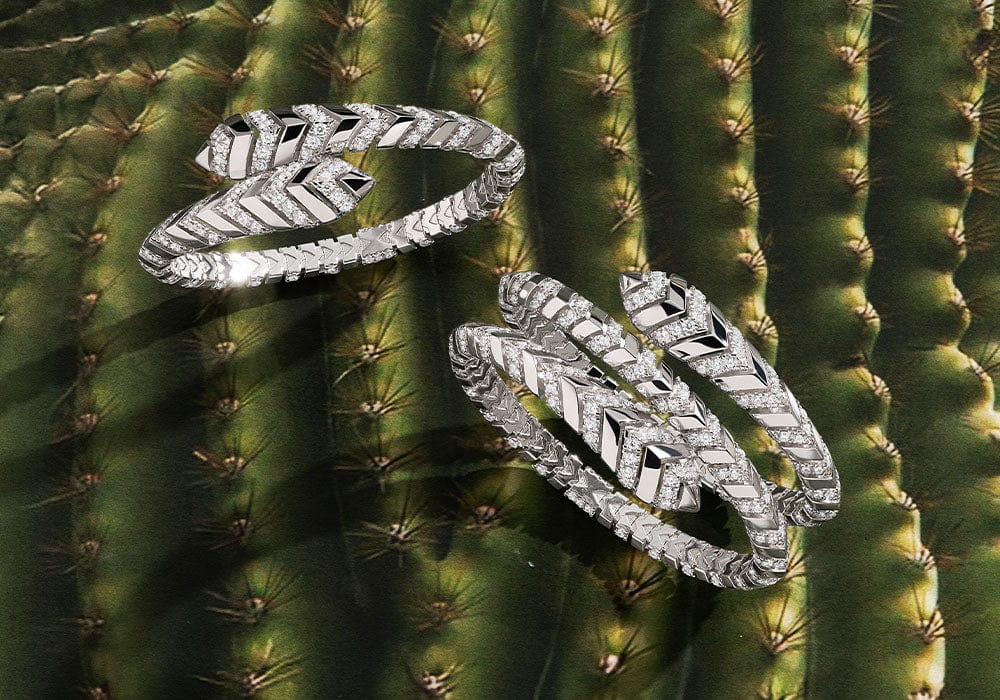 APM Monaco Silver earrings on a cactus background