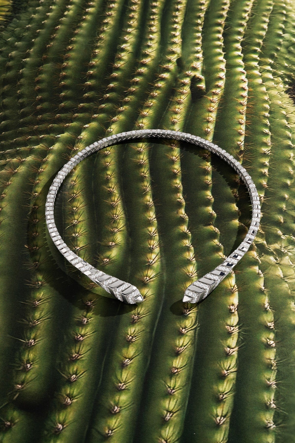 Silver ring with diamonds on a cactus background