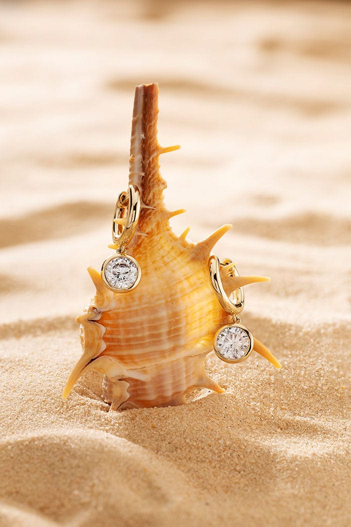 APM Monaco Éclat Hoop Earrings in Yellow Gold and are hanging on a conch
